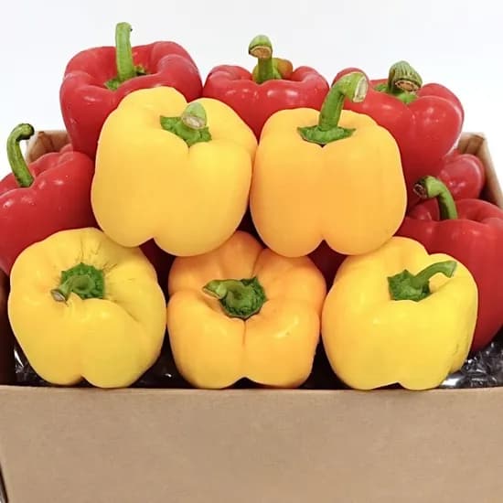 못난이 혼합 파프리카, 2kg, 1개