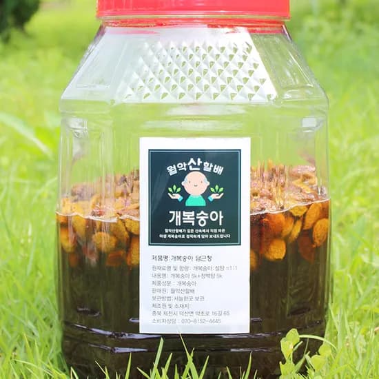 국내산 개복숭아 담금청, 10kg, 1개