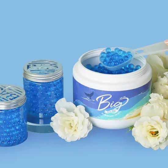 BAS 특대형 탈취제 아쿠아블루향 1000g 1개