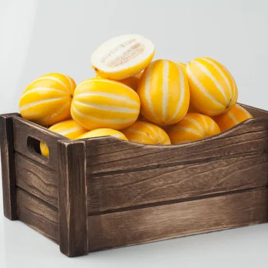 꿀참외 실속형 가정용 10kg 1개 20,800원