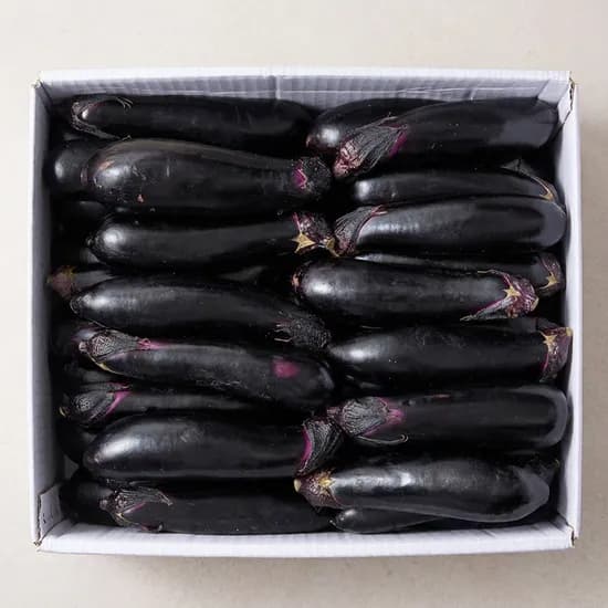 신선하랑 국내산 가지 5kg 1개 14,900원