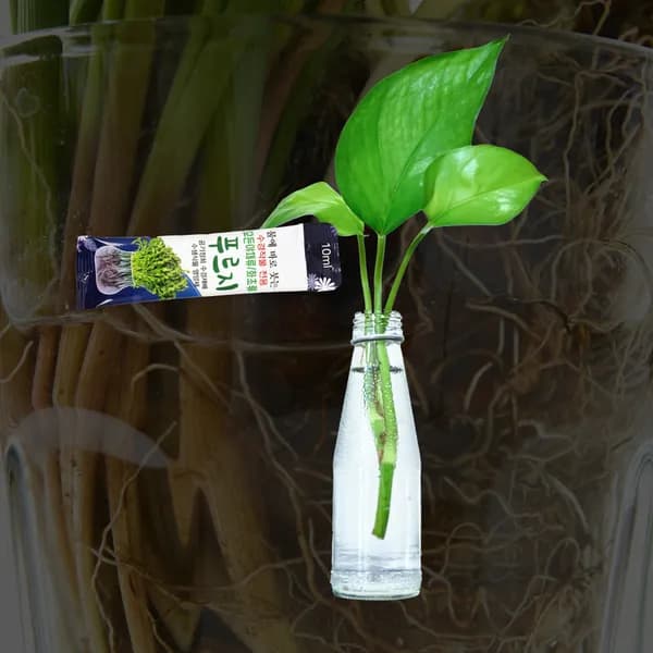 푸르지 식물영양제 10p 수경작물 전용 10ml 1개