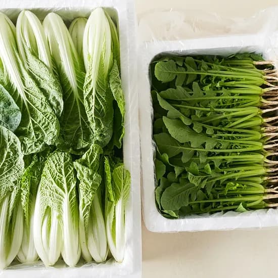 운악의뜰 아기열무 얼갈이 3kg + 2kg 1박스