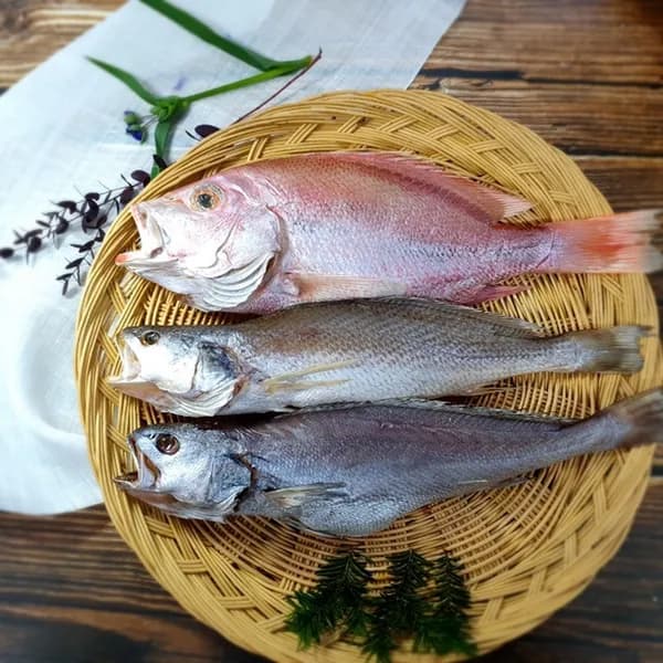 생선대장 제수용생선 세트 돔 조기 민어 3종 반건조생선 중 1140g