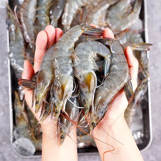 국내산 생물 흰다리새우, 500g, 20미 내외, 1개
