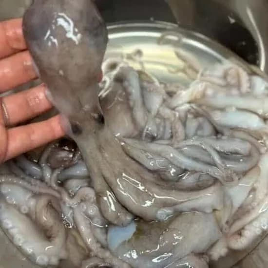 맛있는낙지 낙지볶음 낙지 1kg 1개