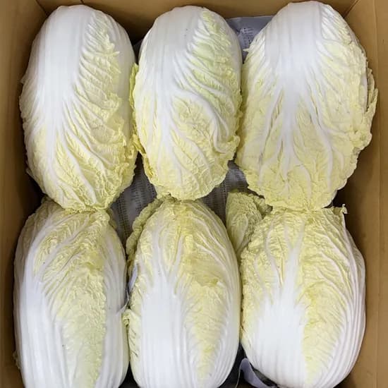 의령농산 국내산 알배기 배추, 450g, 4개