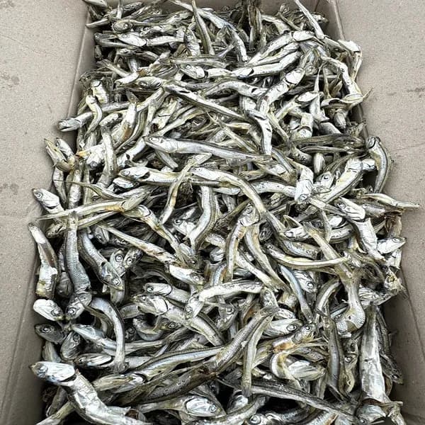 미각 국내산 햇 고주바 고바멸치 고추장 국물멸치 1.5kg 1개 14,480원