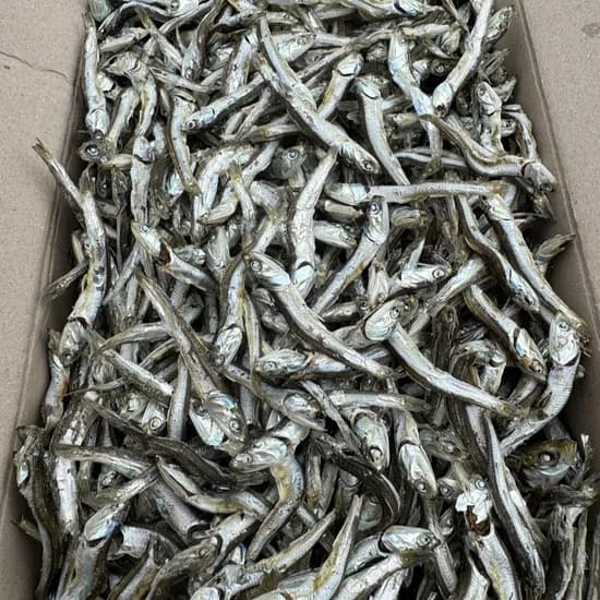 미각 국내산 햇 고주바 고바멸치 고추장 국물멸치 1.5kg 1개