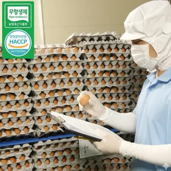3무 HACCP 농가 무항생제 계란 특란, 30개, 1박스