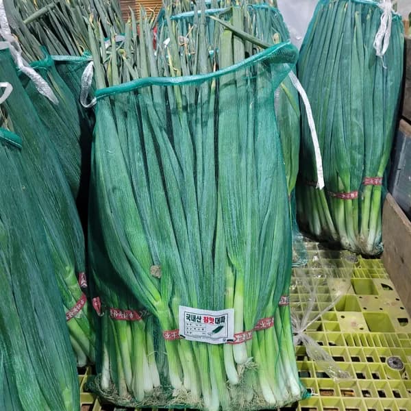 흙대파 특 4.5-5kg 5단 1박스