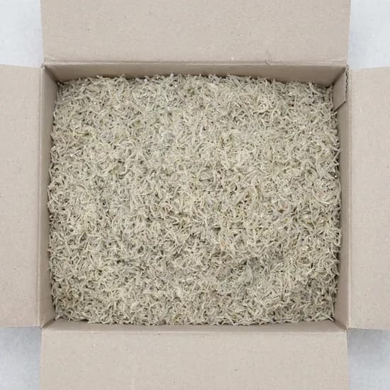 햇 지리멸치 500g 2개