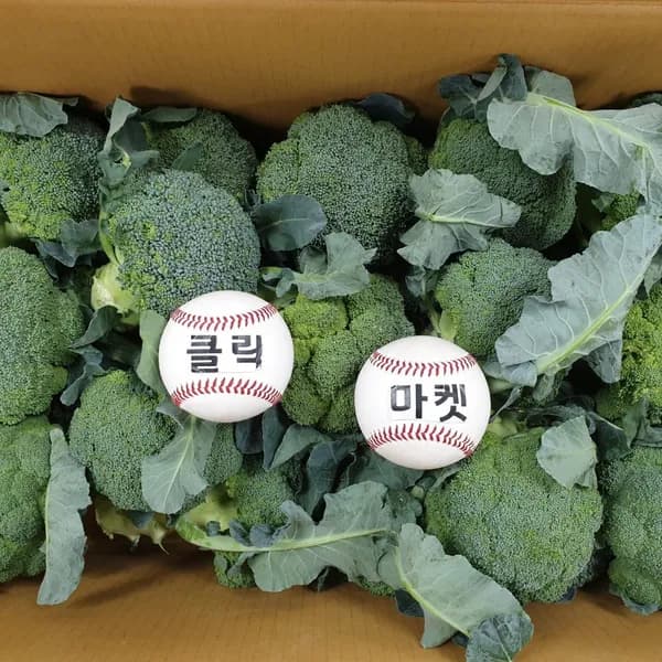 국내산 햇 브로콜리 4kg 1개