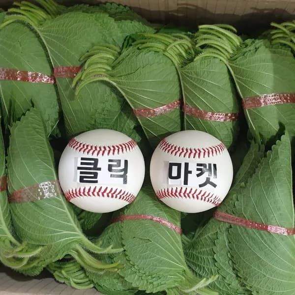국내산 깻잎 2kg