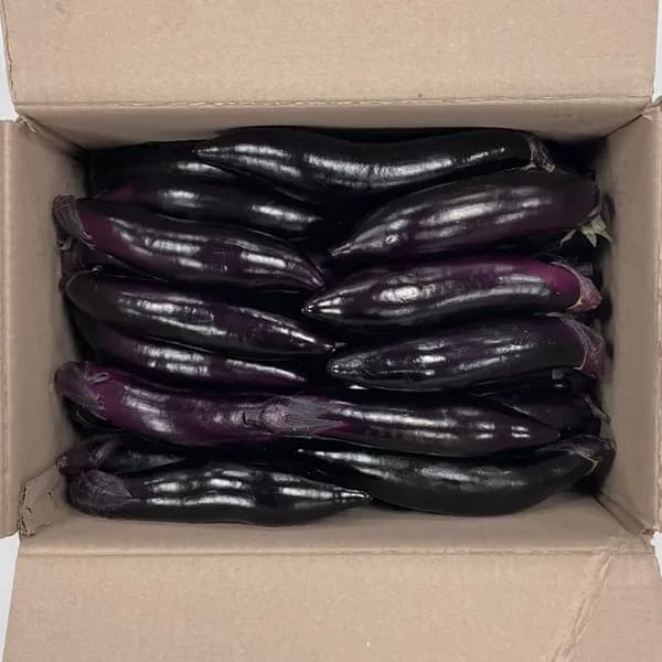 국내산 가지 상 2.5kg 1개