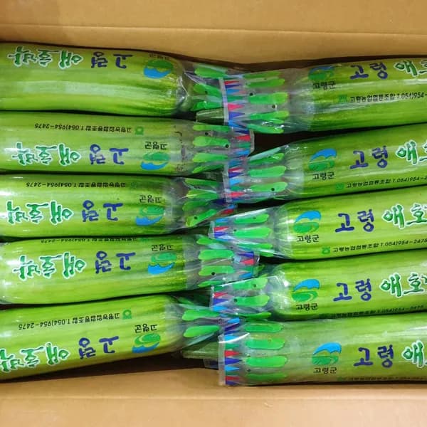 국내산 애호박 250g 5개
