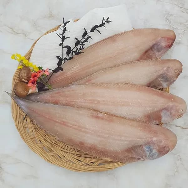 국내산 서대 28cm 내외 반건조 550g 5마리
