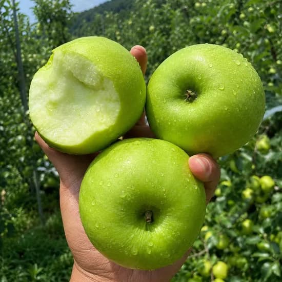 청사과 썸머킹 아오리사과, 소과 혼합, 3kg, 1박스