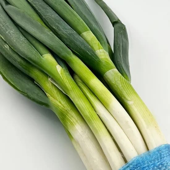 국내산 흙대파 4kg 1박스