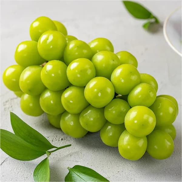 샤인머스켓 2kg 1박스