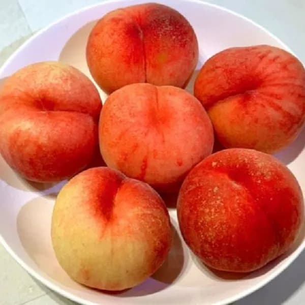 김천 딱딱한 복숭아 중과 1kg 5-6과 1박스 11,900원