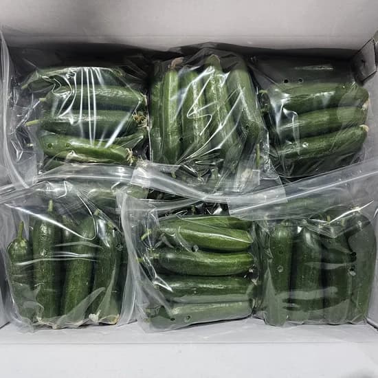 국내산 미니오이 상 스낵용 500g 3개