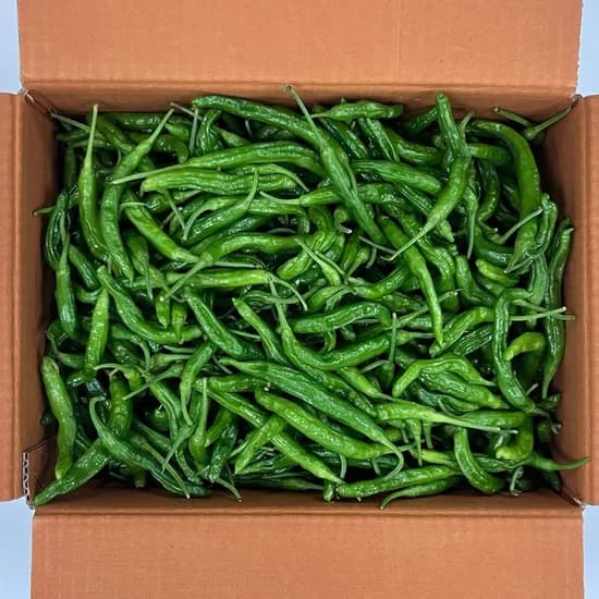 국내산 꽈리고추 특품 500g 6,500원