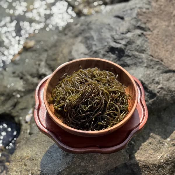 완도산 염장 꼬시래기 3kg