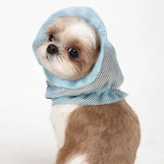조영 강아지 메쉬 귀덮개, 블루, 대형, 1개