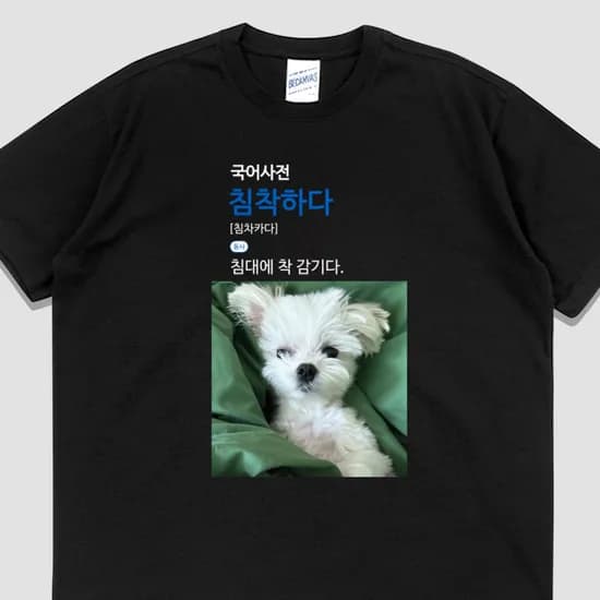 입는생각 침착하다 반팔 국어사전 티셔츠 웃긴 강아지티 우정잠옷 오버핏 블랙 3XL 1개