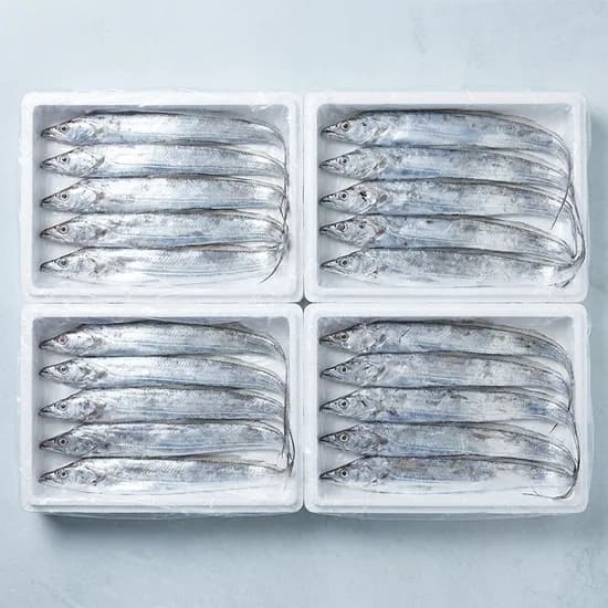 제주 손질 은갈치 550g 20마리 4팩