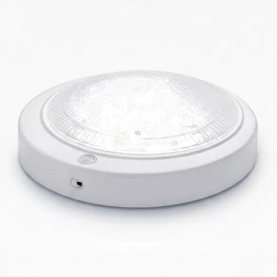 이엘라이팅 LED 현관 센서등 20W, 화이트, 주광색, 1개