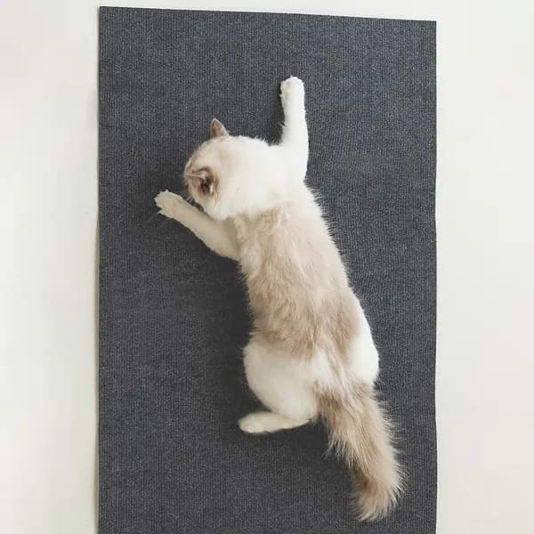 소파냥 붙이는 소파보호 고양이 스크래처, 그레이, 2m x 40cm, 1개