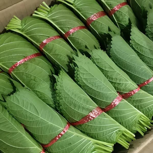 국내산 깻잎 묶음 30g 30개