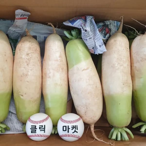 햇무 5kg 1개