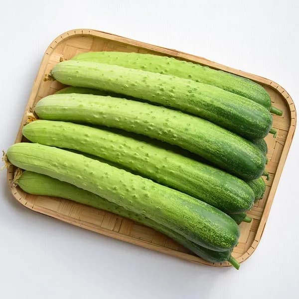 신선한아침 국내산 백오이 백다다기오이 1kg