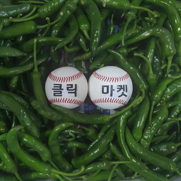 국내산 청양고추 상등급 5kg
