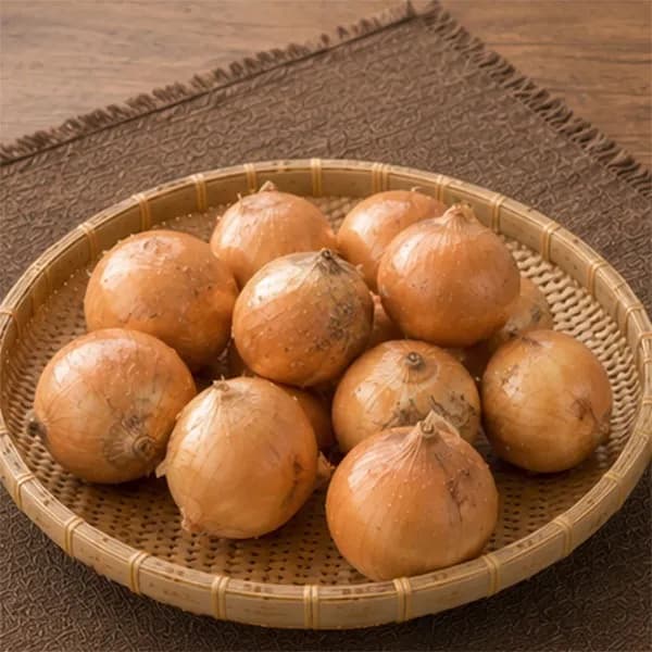 자연서온 전남무안 양파 대 3kg 1박스 7,390원