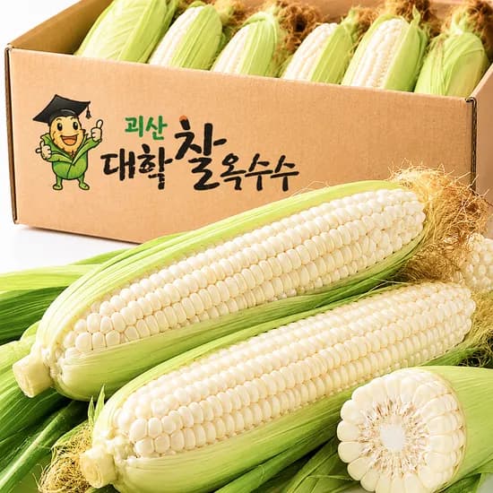 꿀농 괴산대학찰옥수수, 특품, 16cm 이상, 300g, 10개