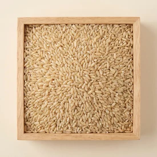 현미, 국내산, 2025년, 1kg, 1개