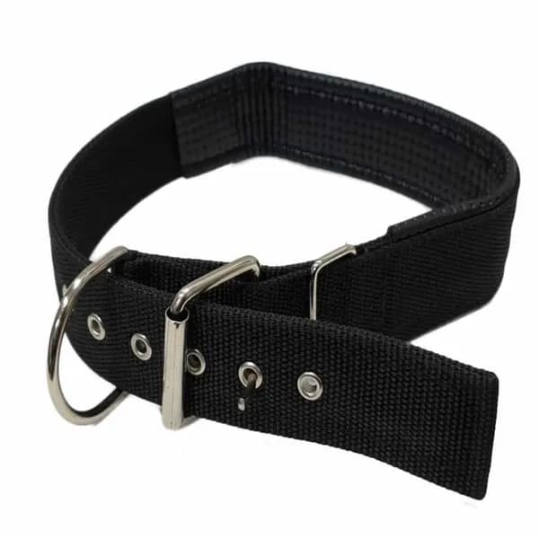 코텍스 대형견용 진돗개 목줄 1개 7,790원