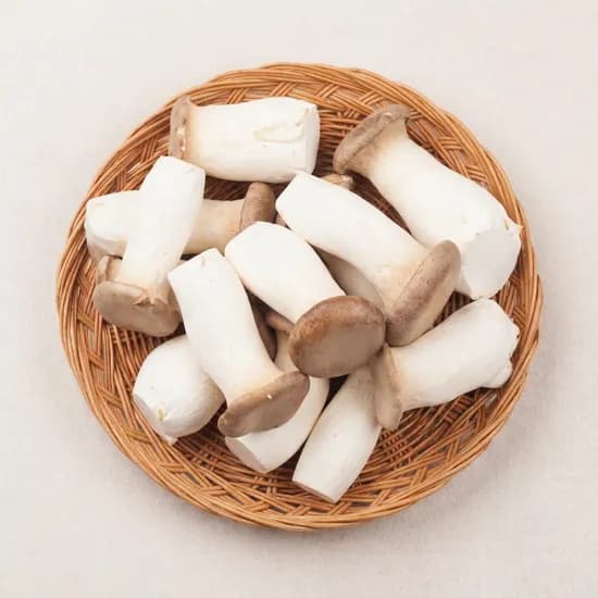 국내산 못난이 가정용 새송이버섯 2kg 1박스