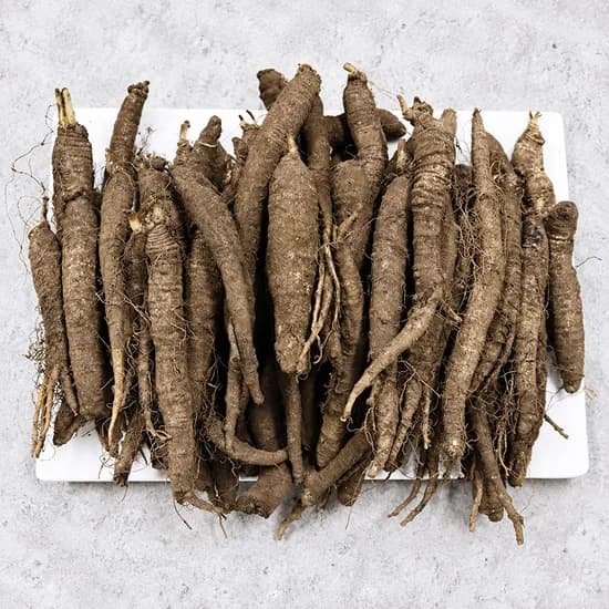 제주 햇 더덕 특 1kg 18-22개 1개