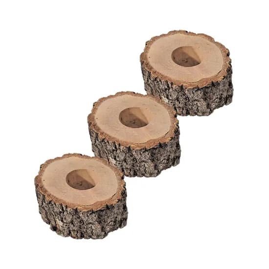곤충용 먹이목, 아이보리, 가로 7-9cm 세로 5-6cm, 1개
