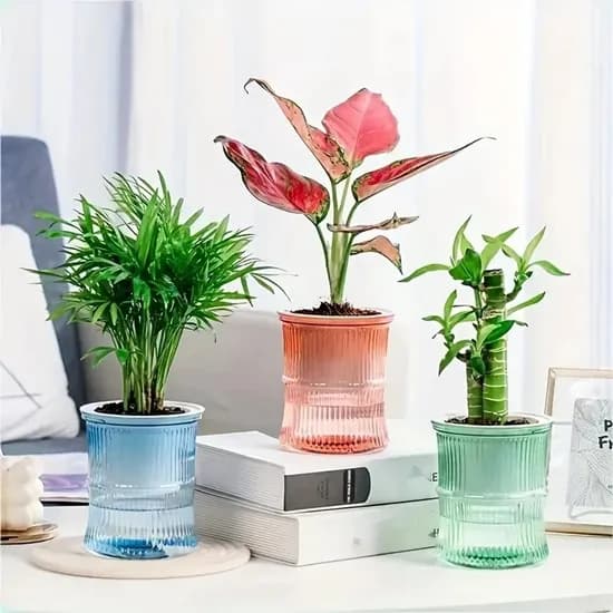 비즈바인 수경식물화분 수경 식물 재배 화분 자동급수 저면관수 투명 컬러 6, 그레이, 1개