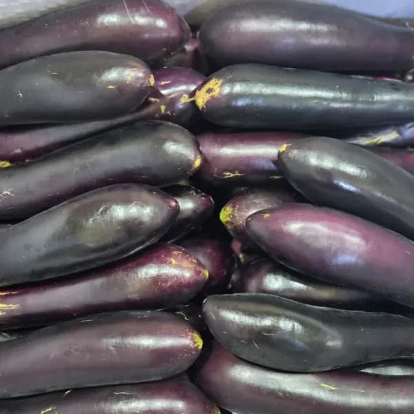 국내산 못난이 가지 5kg 1개 12,000원