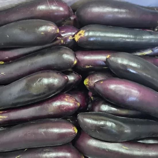 국내산 못난이 가지 10kg 1개