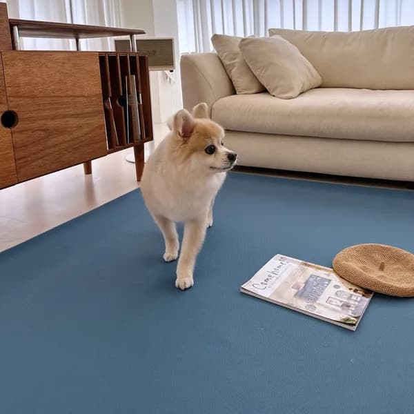 NOOK DESIGN 강아지 고양이 방수매트 털안붙는 펫매트 워셔블 러그 인디고 블루 사각형 150x200cm 1개