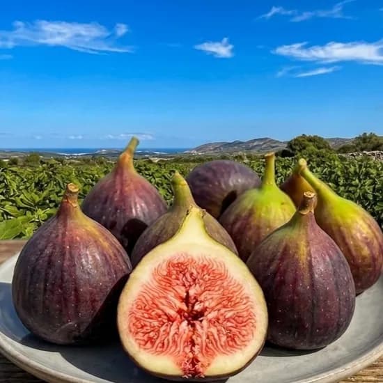 영암 생 홍무화과, 2kg, 1박스