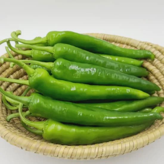 국내산 아삭이고추, 1kg, 1박스